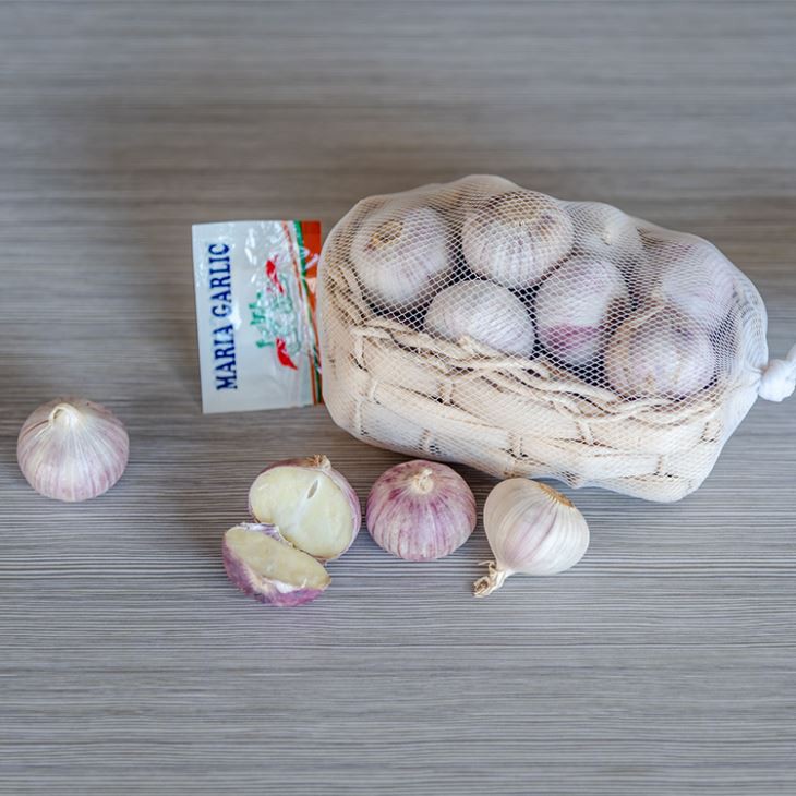 Fresh Solo Garlic